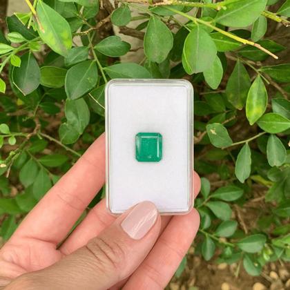 Imagem de Esmeralda EmeraldCut 8,40ct