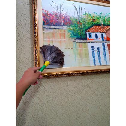 Imagem de Espanador de Pó Penas de Avestruz Oferta