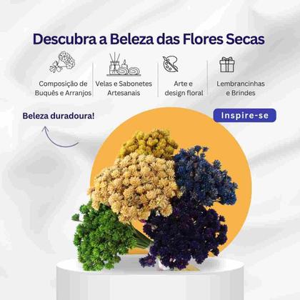 Imagem de Espeta Nariz Laranja Desidratado Sempre Viva Flores Secas