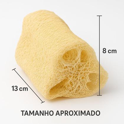 Imagem de Esponja Bucha Vegetal Natural Banho Esfoliação