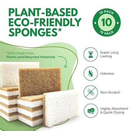 Imagem de Esponja de cozinha, pacote com 10 unidades, biodegradável, natural Airnex