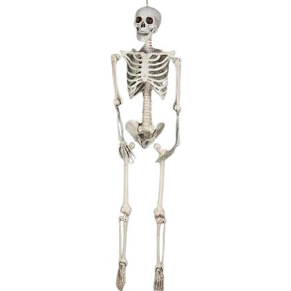 Imagem de Esqueleto Humano De Plástico Flexível Para Halloween