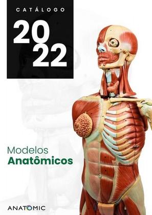 Imagem de Esqueleto Pelvico Feminino Modelo Anatômico Pelve Realistico