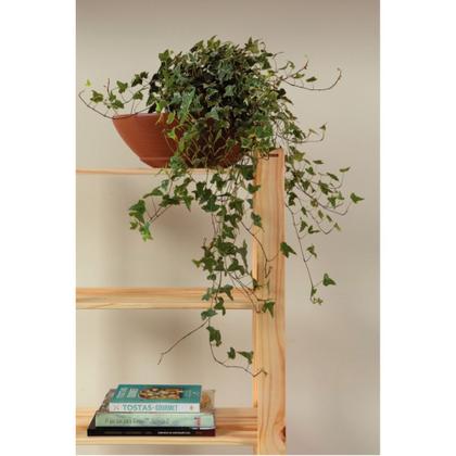 Imagem de Estante Modulare em madeira pinus com 4 prateleiras 62,2 x 30,2 x 107,2 cm