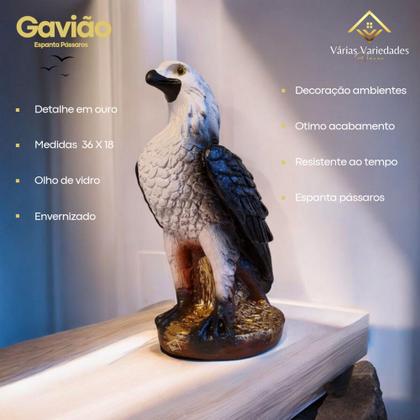 Imagem de Estátua Águia Parede e Gavião Espanta Pombos Maritaca 2 Pçs Pintura Exclusiva VARIAS VARIEDADES