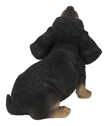 Imagem de Estátua de cachorrinho Howling Dachshund Hi-Line Gift Ltd Polyresin