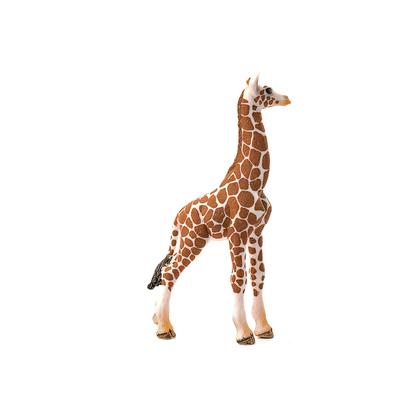 Imagem de Estatueta de animal Schleich Wild Life Giraffe Calf Toy 3 anos ou mais
