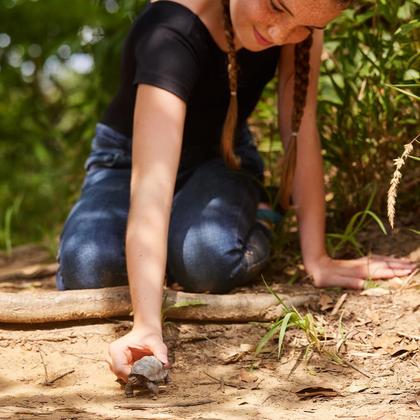 Imagem de Estatueta de brinquedo Schleich Farm World Turkey Farm Animal para crianças