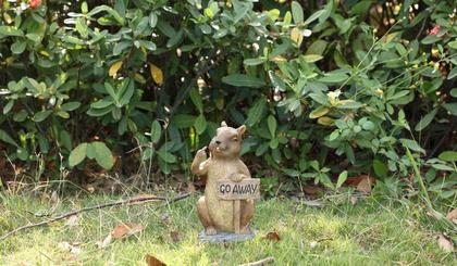 Imagem de Estatueta de esquilo Hi-Line Gift Ltd., poliresina, interior e exterior