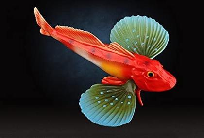 Imagem de Estatueta de peixe realista Estatuetas de animais marinhos Modelo de animais oceânicos de plástico para suporte educacional de ciência