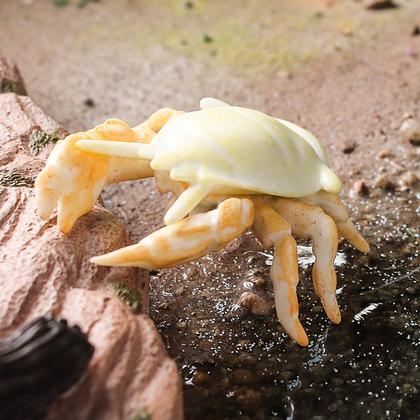 Imagem de Estatueta realista Snowman Crab Marine Life Plastic 7 cm