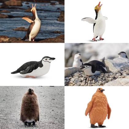 Imagem de Estatueta Toy Toymany Penguin Set 12 realistas com filhote de pinguim