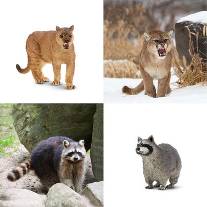 Imagem de Estatuetas de animais Toy Toymany North American Forest x12