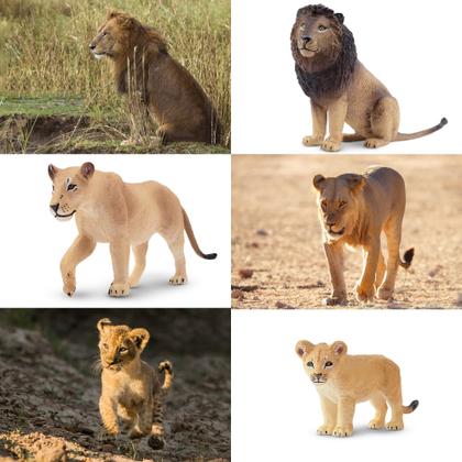 Imagem de Estatuetas de animais Toymany Lion Family, 6 peças para crianças a partir de 3 anos