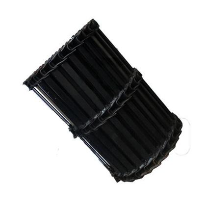 Imagem de Esteira calcario dupla (76-lx6,60-c) piccin 5500 psj00233