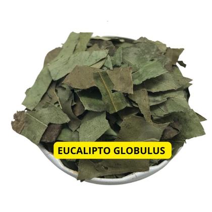 Imagem de Eucalipto Globulus 100g (Erva Desidratada)