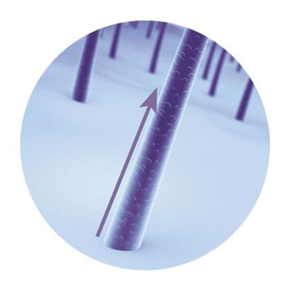 Imagem de Eudora Siàge Condicionador Acelera O Crescimento 200ml - Eudora - Siàge