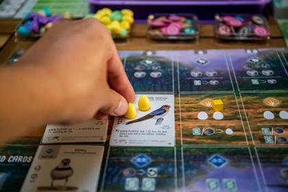 Imagem de Expansão Stonemaier Games Wingspan Oceania 95 Birds