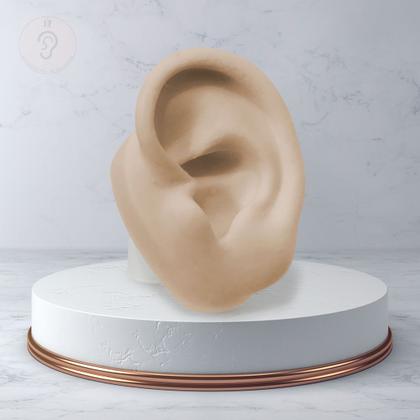Imagem de Expositor De Jóias Orelha De Silicone - Cor Nude - Base Oval