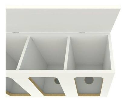 Imagem de Expositor Ração 12 Divisões + Mesa Balança (pet Box Loja)