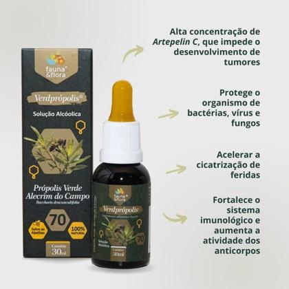 Imagem de Extrato de Própolis Verde Concentrado 70% In Natura 30ml