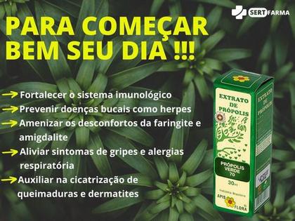 Imagem de Extrato De Própolis Verde Puro 70% 30ml Apis Flora Imunidade