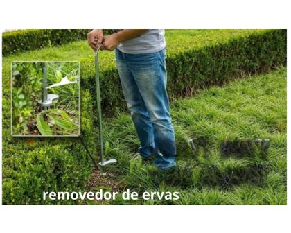 Imagem de Extrator De Ervas Daninhas Inço Mato Pragas Gramas Removedor