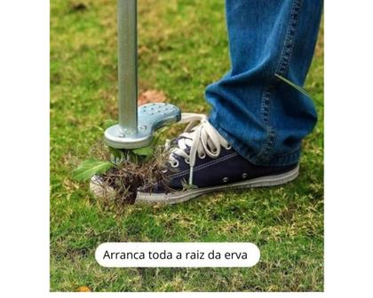 Imagem de Extrator De Ervas Daninhas Inço Mato Pragas Gramas Removedor