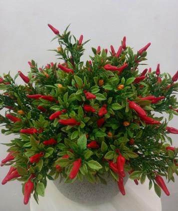 Imagem de F.pimenta plt. x42 (vermelho) 37cm