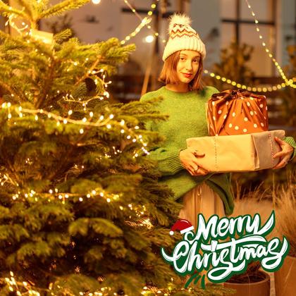 Imagem de Fairy Lights Brightown 20m 240LED com controle remoto, pacote com 2 unidades à prova d'água