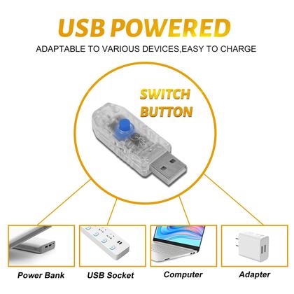 Imagem de Fairy Lights Siuholi 20m 200 LED USB Twinkle String Lights