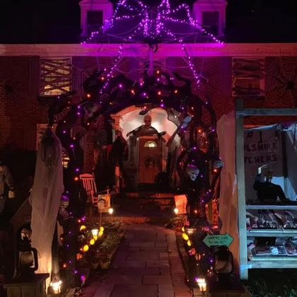 Imagem de Fairy String Lights Dazzle Bright Purple 80 m 240 LED, pacote com 4