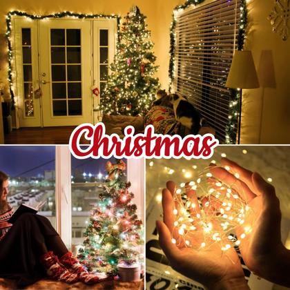 Imagem de Fairy String Lights EXF Smart Color Changing 33m 100 LED