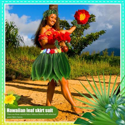 Imagem de Fantasia feminina havaiana Hercicy, 6 peças, saia hula, blusa curta