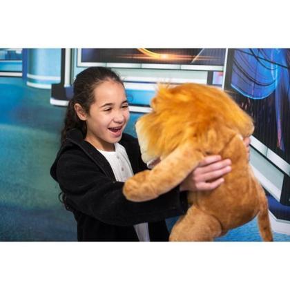 Imagem de Fantoche Odontológico Pelúcia Luxo Com Macro Arcada - Jacaré