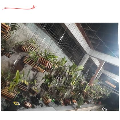 Imagem de Farinha De Osso Adubo Orgânico Plantas 2,5kg
