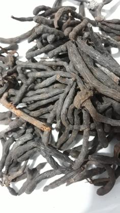Imagem de Fava Bejerecum Umbanda e Candomblé