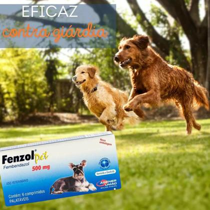 Imagem de Fenzol Pet 500 Mg 6 Comprimidos Agener Vermífugo Anti Verme Para Cães