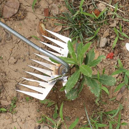 Imagem de Ferramenta de Jardinagem Multifuncional com 11 Dentes