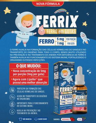 Imagem de Ferrix Ferro em Gotas 30mL  5mg por porção  Sabor Morango  Flora Nativa do Brasil