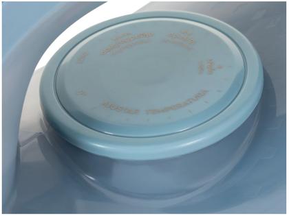 Imagem de Ferro de Passar Roupa a Vapor e a Seco Electrolux