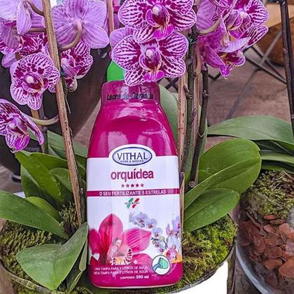 Imagem de Fertilizante Líquido Para Orquídeas Vithal - 250ml