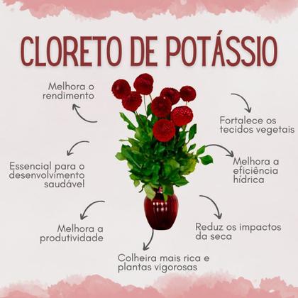 Imagem de Fertilizante Premium Cloreto de Potássio KCl CPC Garden