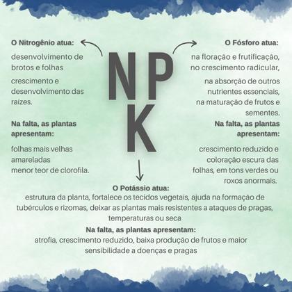 Imagem de Fertilizante Premium NPK 04 14 08 Plantio e Floração CPC Garden 500 g