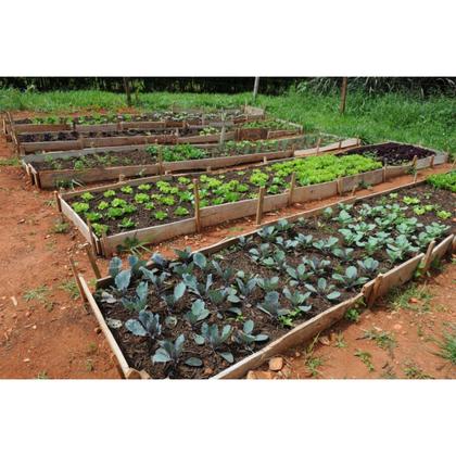 Imagem de Fertilizante Premium NPK 10 10 10 Uso Geral CPC Garden 5Kg