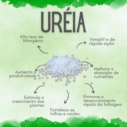 Imagem de Fertilizante Premium Ureia NPK 46 00 00 CPC Garden 500 g