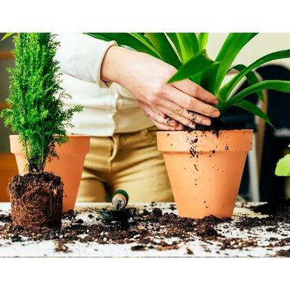 Imagem de Fibra de Coco Crush Premium Para Substrato CPC Garden 5 L