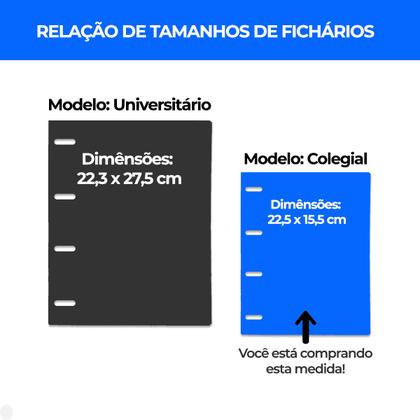 Imagem de Fichário Colegial CRISTAL 192 folhas 10 Divisórias DAC