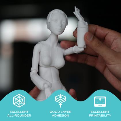 Imagem de Filamento para impressora 3D POLYMAKER PolyLite PETG 1,75 mm 6 kg