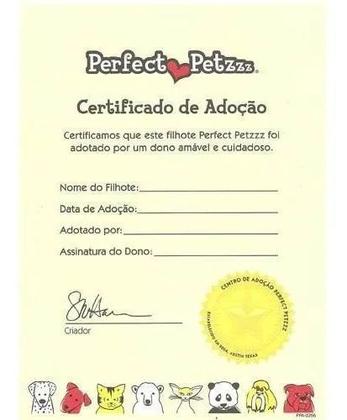 Imagem de Filhote PUG QueRespira Perfect Petzzz